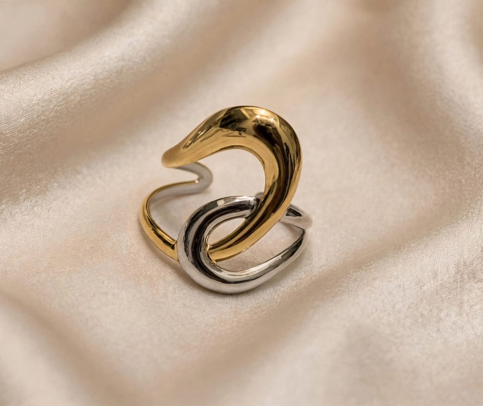 Anillo Vouloir